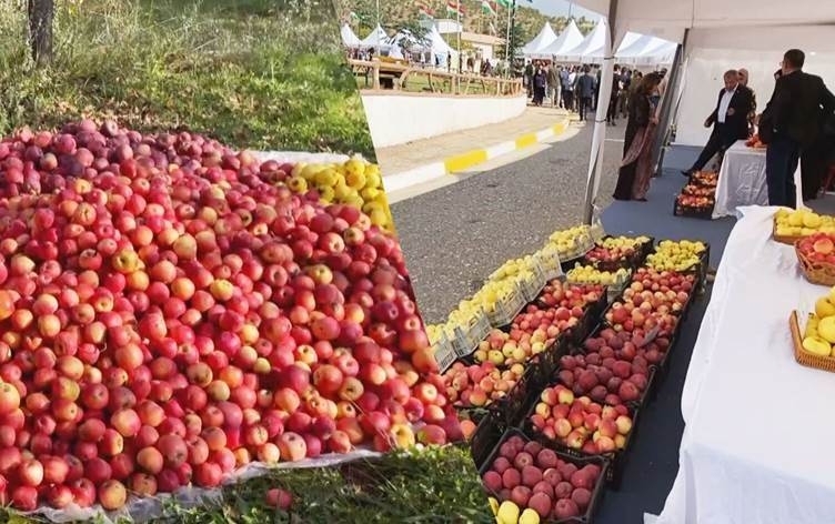تصدير 100 طن من أجود أنواع تفاح إقليم كوردستان للإمارات وقطر