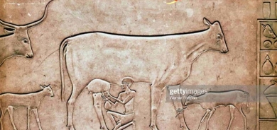 تابلۆی رەخنە لە دار و پەیكەرتایشدا