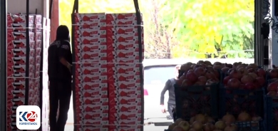 Cotkarên Kurdistanê êdî xema bazirganiya berhemên xwe naxwin