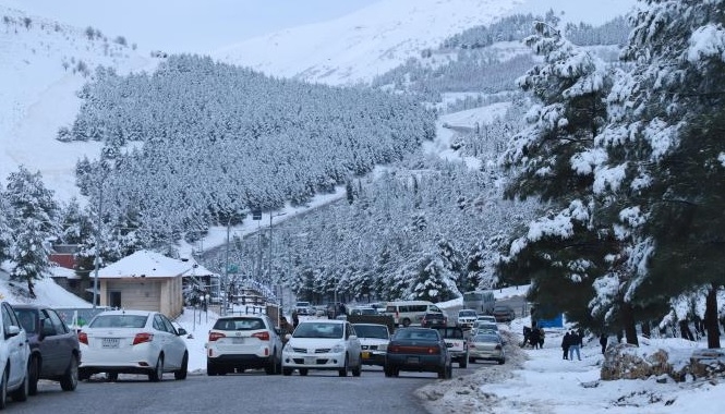 Hijmara torîstan li Kurdistanê tê zêde kirin