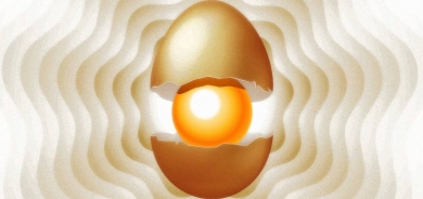 بيضة... من دون دجاجة