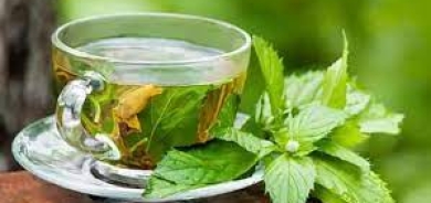 كيف تعالج انتفاخ البطن المزعج بالنعناع وزيته؟