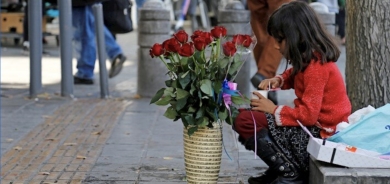 زیادبوونی منداڵانی سەر شەقام و بەركار  هۆكار و چارەسەر