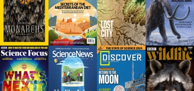 هل تستمر ظروف الطقس اللاهبة في صيف 2024؟