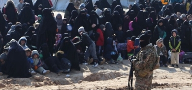 Li Kampa Holê 31 çete û hevkarên wan hatin girtin