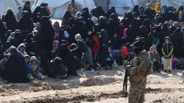 Li Kampa Holê 31 çete û hevkarên wan hatin girtin