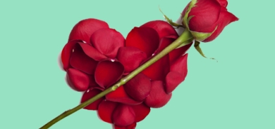 ڕۆژی جیهانیی خۆشەویستی (ڤاڵانتاین) خوێندنەوەی جیاوازی بۆ دەكرێت     كۆمەڵناسان جەخت لەوە دەكەنەوە تەنیا ڕۆژێك بەشی خۆشەویستی ناكات