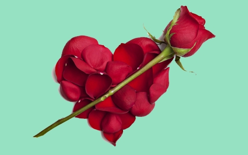 ڕۆژی جیهانیی خۆشەویستی (ڤاڵانتاین) خوێندنەوەی جیاوازی بۆ دەكرێت     كۆمەڵناسان جەخت لەوە دەكەنەوە تەنیا ڕۆژێك بەشی خۆشەویستی ناكات