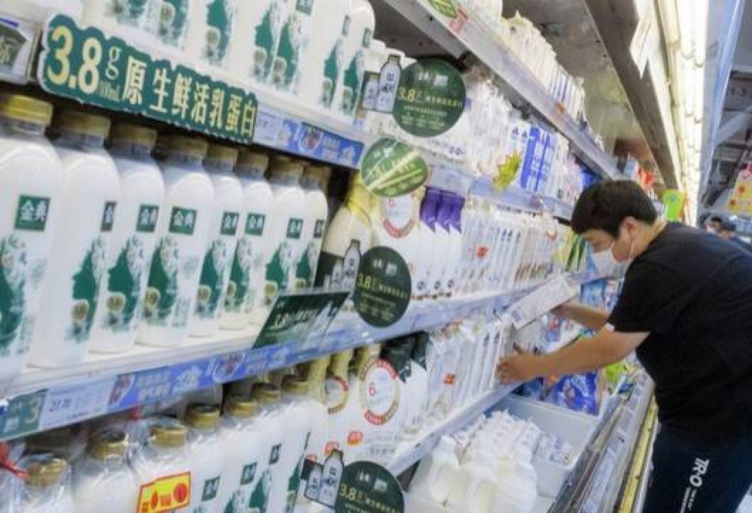 ما حقيقة تأثير المواد المعدلة وراثيا على الصحة؟ خبير يجيب