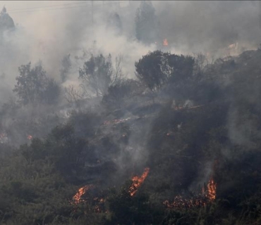 ژمارەی قوربانیانی ئاگرکەوتنەوەی دارستانەکان لە شیلی گەیشتە ١٣٢ کەس