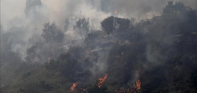 ژمارەی قوربانیانی ئاگرکەوتنەوەی دارستانەکان لە شیلی گەیشتە ١٣٢ کەس
