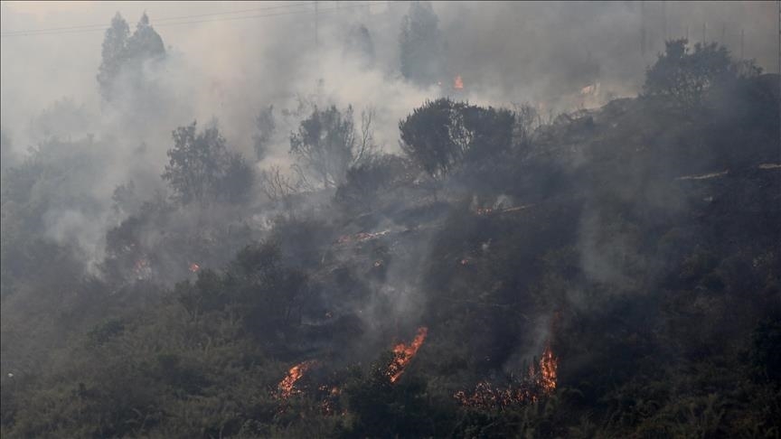 ژمارەی قوربانیانی ئاگرکەوتنەوەی دارستانەکان لە شیلی گەیشتە ١٣٢ کەس
