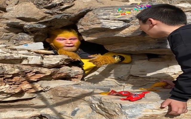 هەلی كار وەك مەیموون