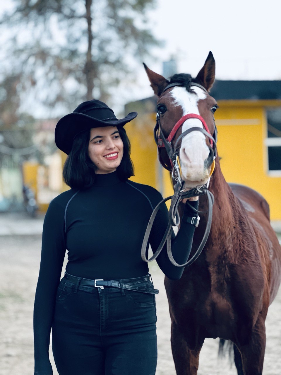 هاوڕێیەتی كردنی ئەسپ چێژێكی تایبەتی هەیە