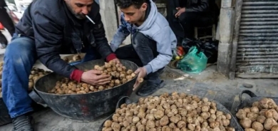 Suspected ISIS Ambush Kills Five Truffle Hunters in Syria's Homs Province
