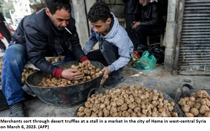 Suspected ISIS Ambush Kills Five Truffle Hunters in Syria's Homs Province