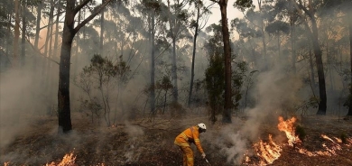لەناوچوونی زیاتر لە 14 هەزار هێکتار زەوی بەهۆی ئاگرکەوتنەوە لە دارستانەکانی ئوسترالیا