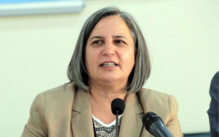 Gultan Kişanak: Pirsa Kurd divê nebe amûra siyaseta navxwe