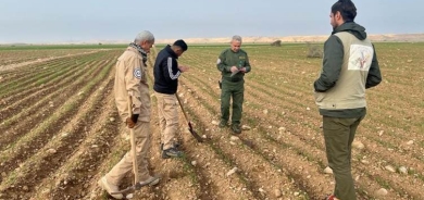 مؤسسة شؤون الألغام بإقليم كوردستان: إزالتها مسؤولية الحكومة الاتحادية لكنها لا تتعاون