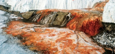 تاڤگە سوور و خوێناوییەكان