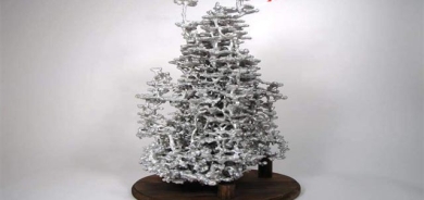 ئەندازەی ناوەوەی شاری مێروولە