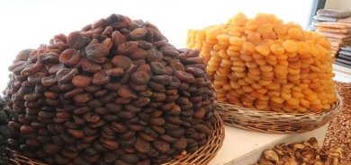 MELETÎ - Îsal bi qasî 76 milyon dolaran qeysî hatin hinardekirin