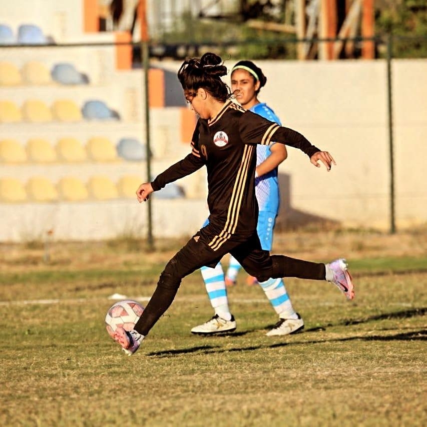 پێویستە گرنگی زیاتری پێ بدرێت