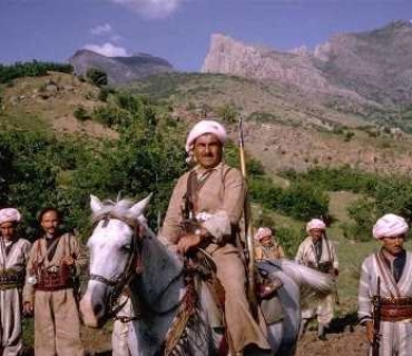 ناسناوی (بارزانی نەمر)، بۆ ؟