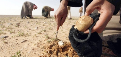 Li Reqayê 19 kes di encama teqîna mînekê de hatin kuştin