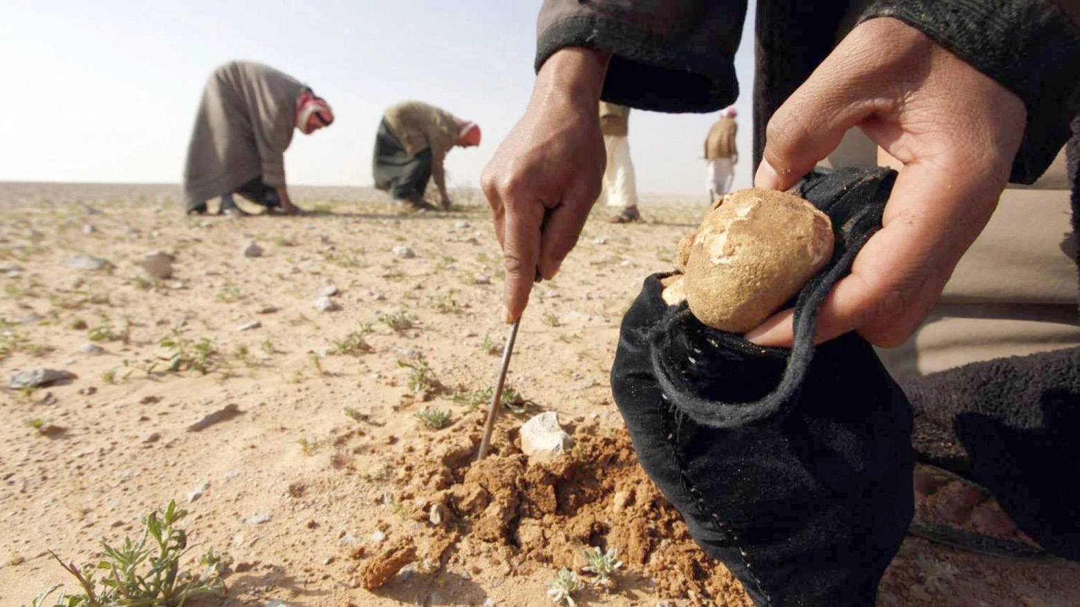 Li Reqayê 19 kes di encama teqîna mînekê de hatin kuştin
