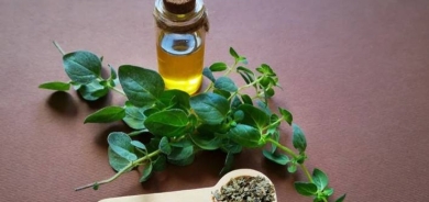 زيت الأوريغانو... علاج مذهل لمشاكل الجلد وفوائد صحية للبشرة