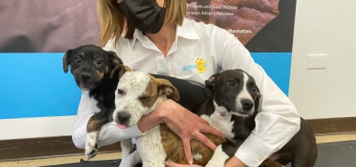 طبيب يحذر: الحيوانات الأليفة قد تنقل أمراضا خطيرة للبشر !