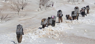 Tragic Incidents in Iran's Border Regions Claim Lives of Two Kolbars, Leave Several Others Injured