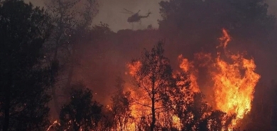 ئاگرکەوتنەوە لە دارستانەکانی یۆنان بەردەوامە