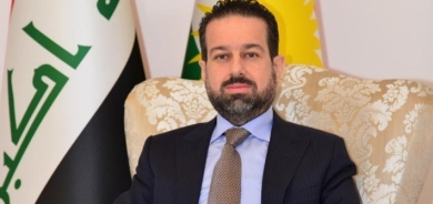 من بينها TBI.. ريباز حملان: بنوك ومصارف عراقية ستشارك في مشروع 