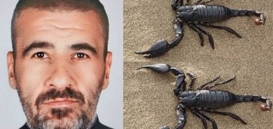 Du dûpişk xwarin û mir