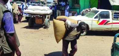 تأهب لمعارك أوسع في دارفور