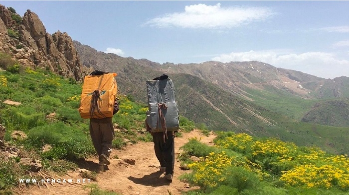 Iranian Border Guards Fatally Shoot Kolbar Near Kurdistan Region Border