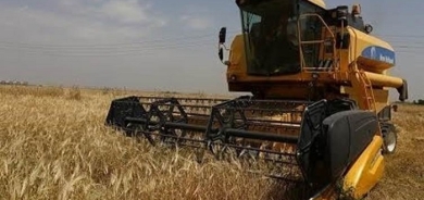 Kurdish Farmers Mobilize Against Iraqi Army's Crop Harvesting Ban in Kirkuk