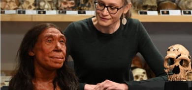 Neanderthal Skull to Return to Kurdistan Region After Netflix Documentary Highlights Discovery