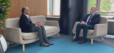 ‘Rojavayê Kurdistanê mijareke sereke ya Konferansa Brukselê bû’