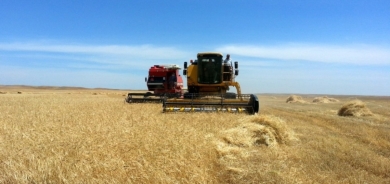 Tensions Rise in Kirkuk's Palkana Village Over Land Disputes