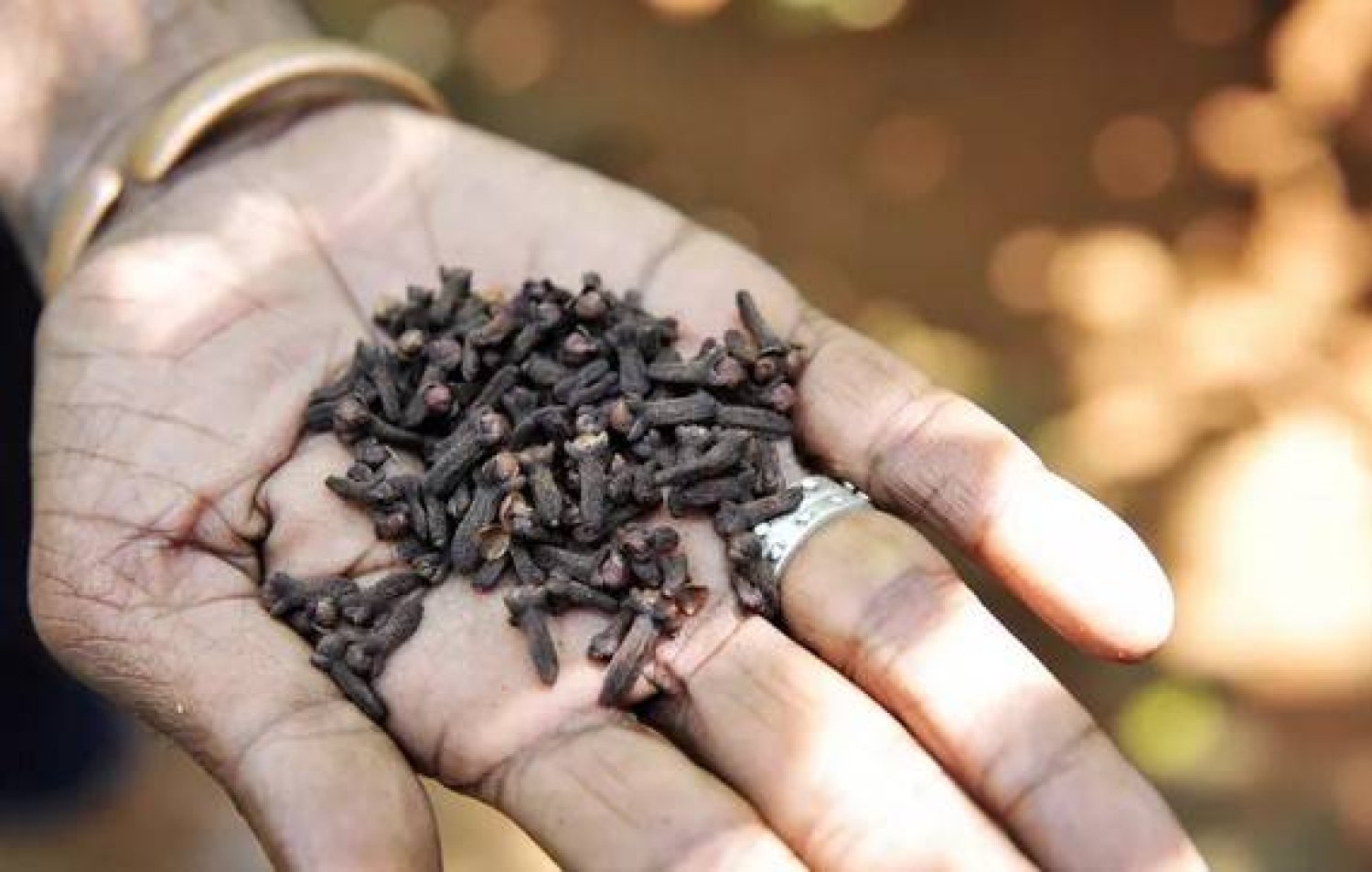 9 فوائد صحية كبيرة لمضغ القرنفل