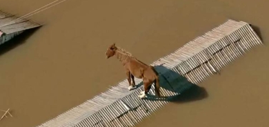 Lehiyên li Brezîlyayê: Hejmara miriyan derket 150î