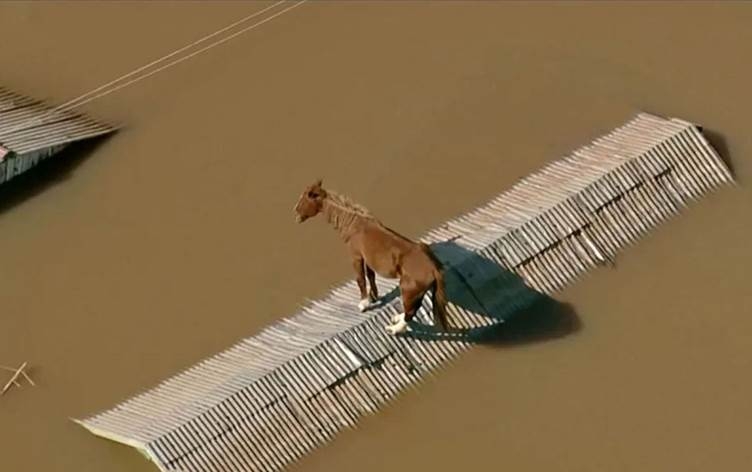 Lehiyên li Brezîlyayê: Hejmara miriyan derket 150î