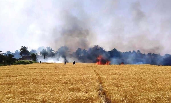 Agir bi dexlûdana Cotkarekî Kurd berbû