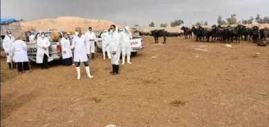 39 Confirmed Cases of Crimean-Congo Hemorrhagic Fever in Iraq This Year, 5 Fatalities Reported