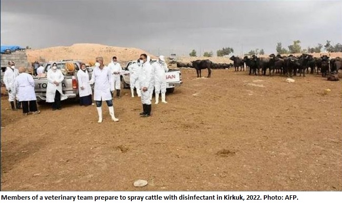 39 Confirmed Cases of Crimean-Congo Hemorrhagic Fever in Iraq This Year, 5 Fatalities Reported