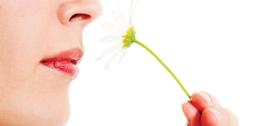 10 حقائق عن حاسة الشم لديك... قد تجعلك تعيد الاهتمام بها