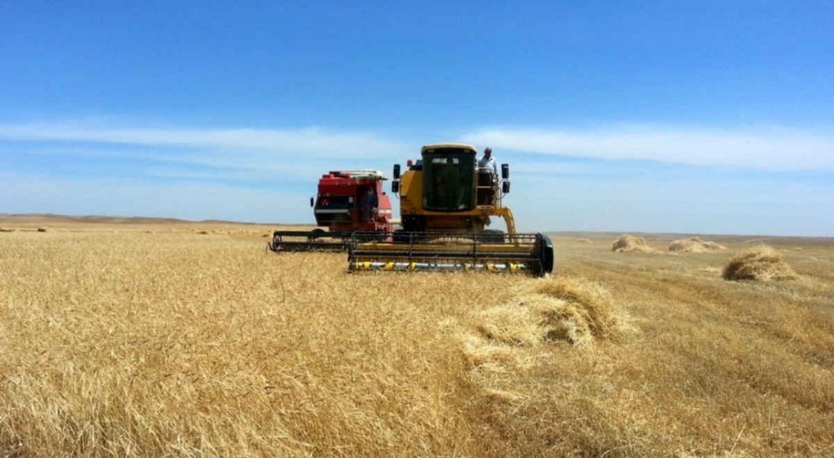 Kurdish Youth Attacked by Non-Indigenous Arabs in Kirkuk Amid Ongoing Land Disputes